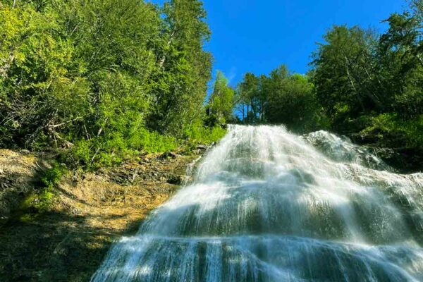 Fraser Valley & Scenic Waterfalls Experience