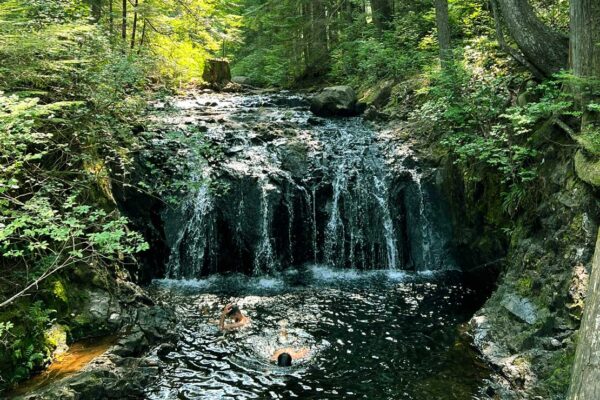 Fraser Valley & Scenic Waterfalls Experience