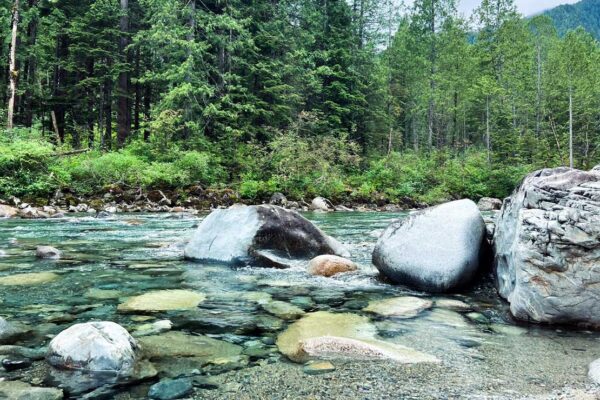 Fraser Valley & Scenic Waterfalls Experience
