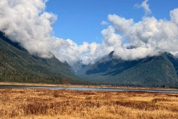 Fraser Valley & Scenic Waterfalls Experience
