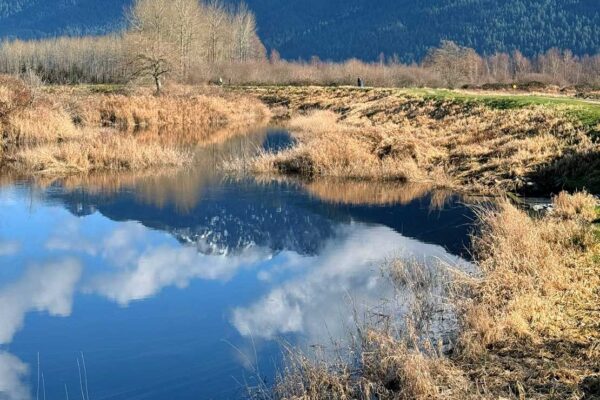 Fraser Valley & Scenic Waterfalls Experience