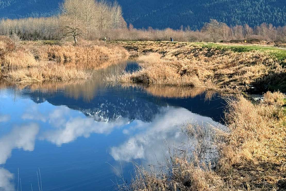 Experience the peaceful beauty of Pitt River with a scenic Fraser Valley tour featuring close-up river views and breathtaking natural landscapes.
