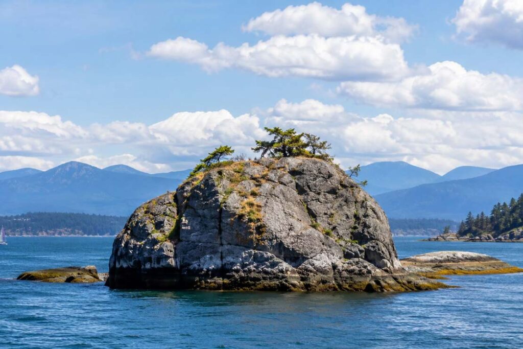 Vancouver Private City Tour — Hidden Gems