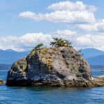 Vancouver Private City Tour — Hidden Gems
