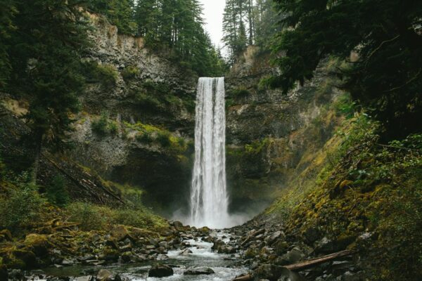 Whistler Scenic Experience