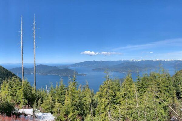Whistler Scenic Experience