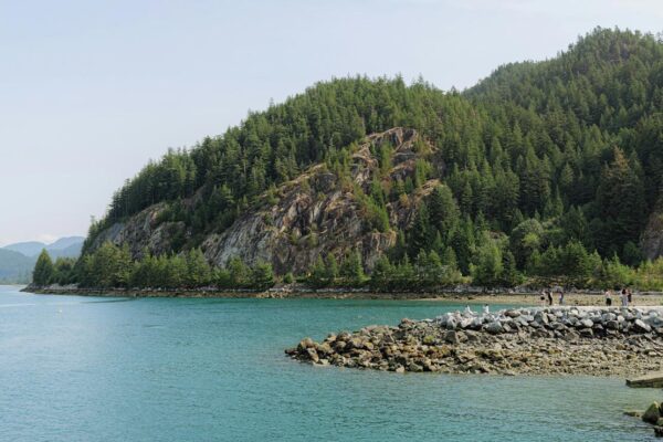 Whistler Scenic Experience